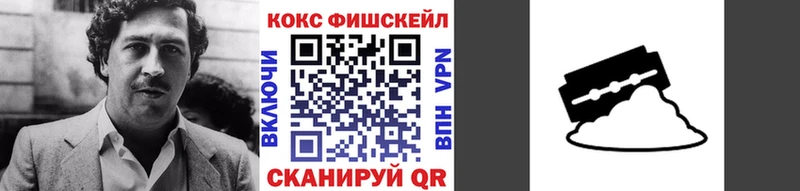 COCAIN FishScale  Купить где  Демидов 